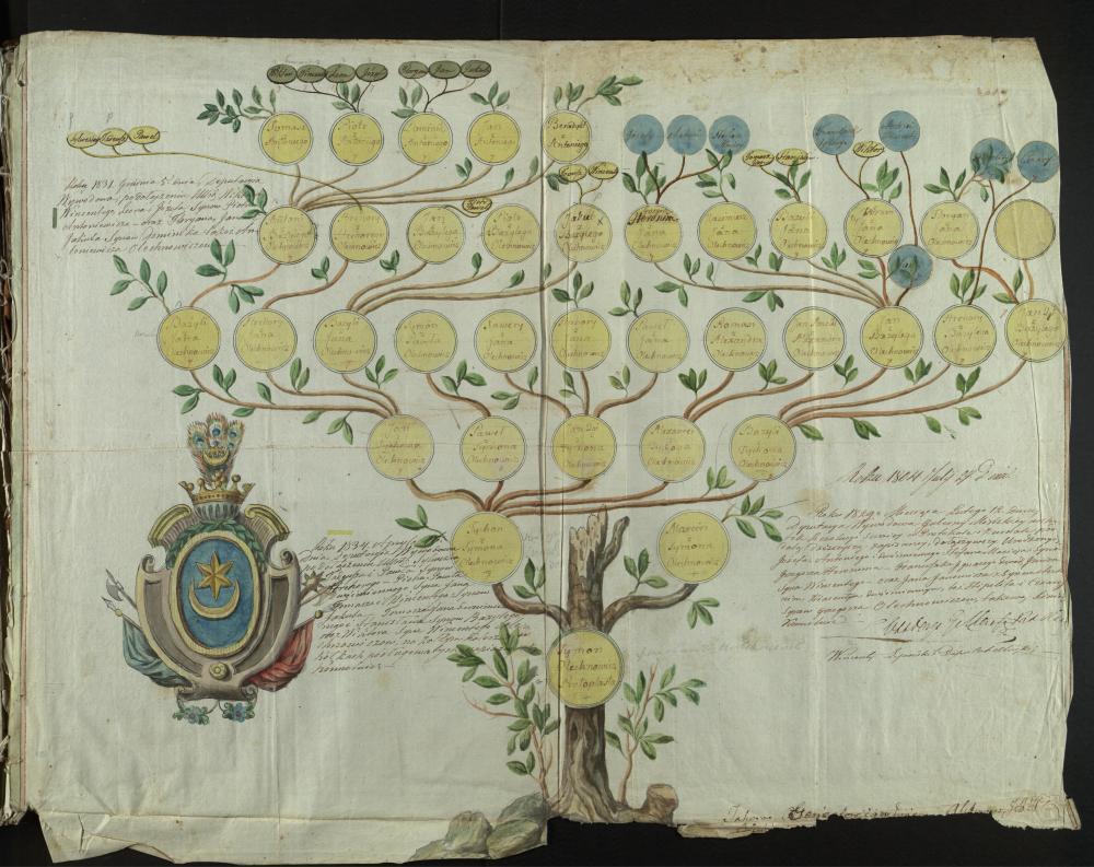 Генеалагічная табліца дваранскага роду Аляхновічаў герба “Ляліва” за 1804—1834 гады.