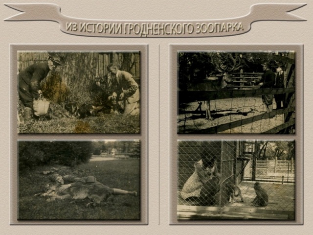документы из истории Гродненского зоопарка
