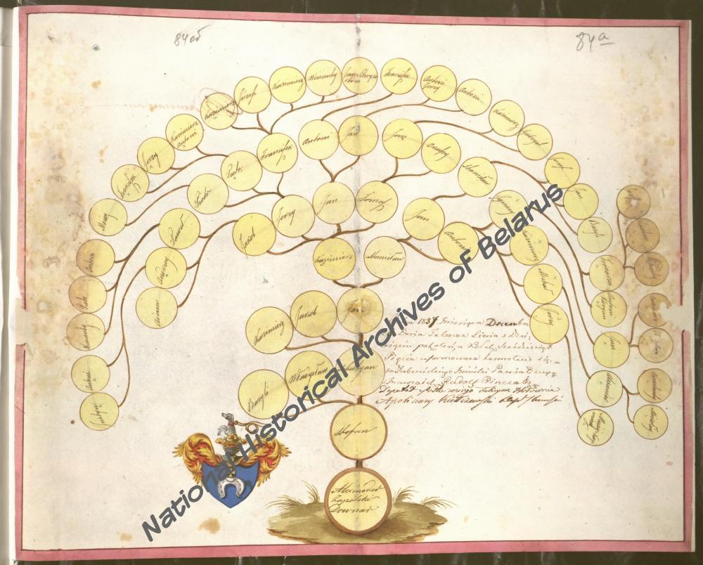 Генеалогическая таблица рода Довнар-Запольских герба «Побог (Pobog)». 28 декабря 1837 года