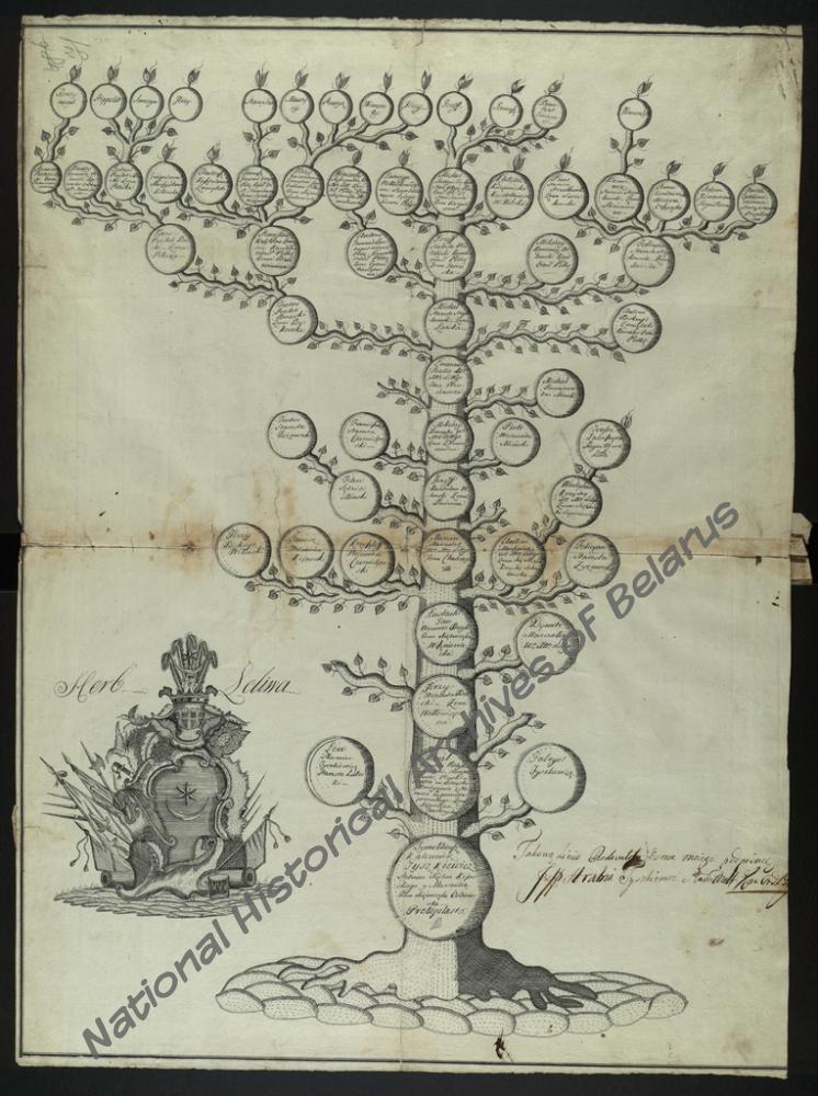 Генеалогическая таблица дворянского рода графов Тышкевичей герба «Лелива»